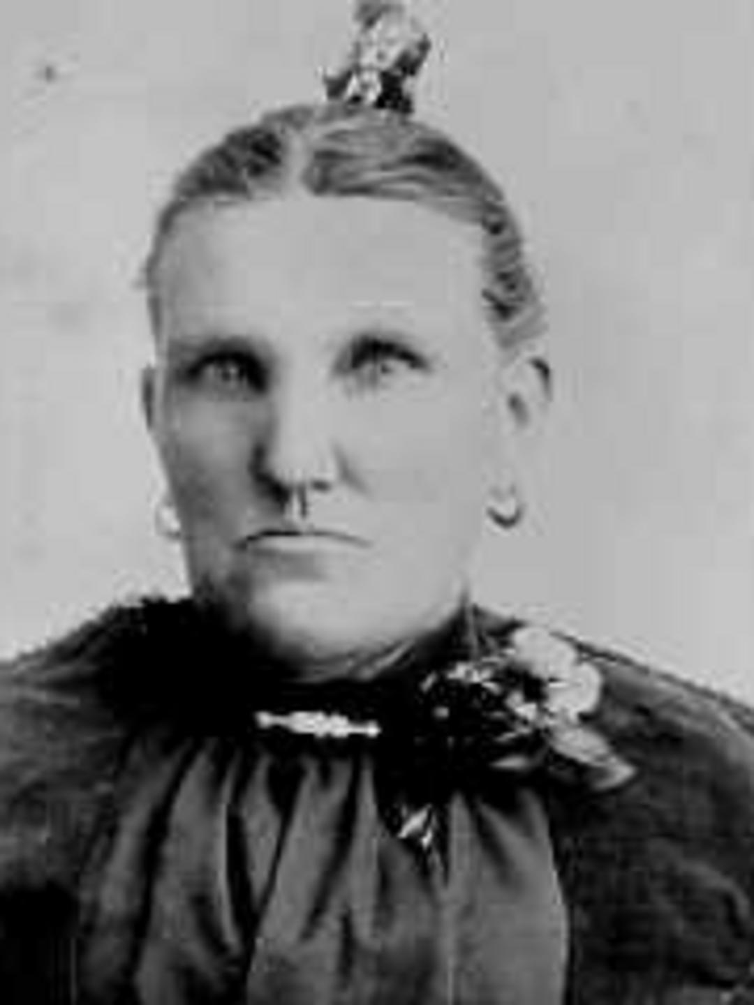 Emeline Wilson (1846 - 1910) Profile